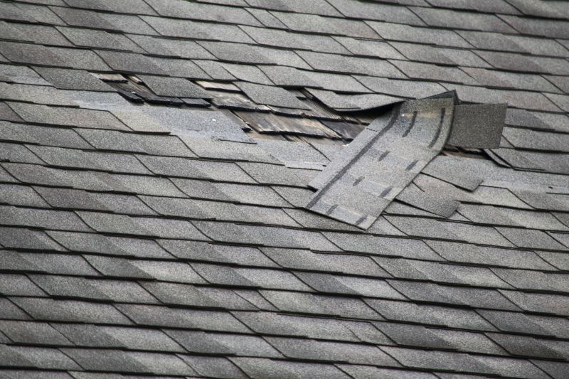 Asphalt Roof Leak Repair in Hermitage, PA