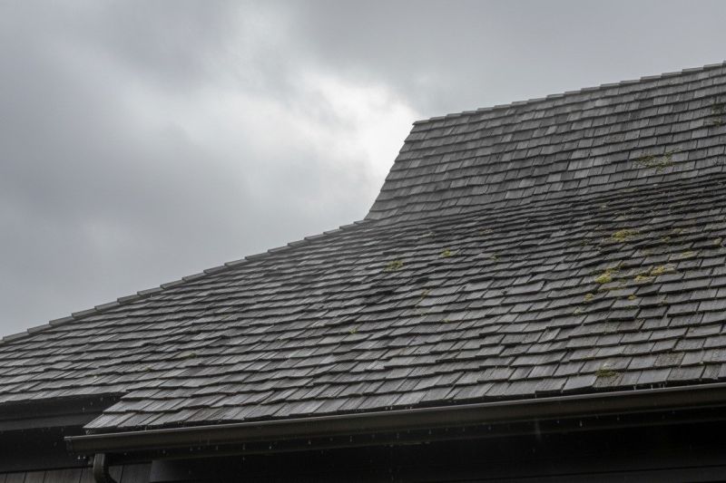 Cedar Roof Replacement in Cortland, OH