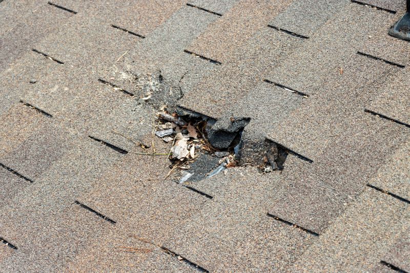 Damaged Roof Replacement in Warren, OH