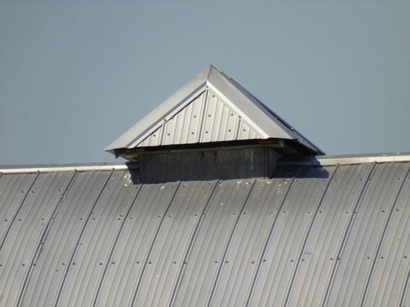 Tin Roof Installation in Sandy Lake, PA